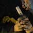 Aqwasport