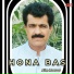 Alim Masroor