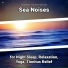 Sea Sound Effects, Ocean Sounds, Nature Sounds