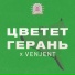 Врата Овертона