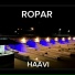 Haavi