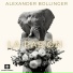 Alexander Bollinger