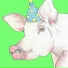 prize pig