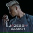 Aamish