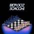 Bergoz