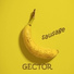 Gector