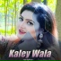 Gul Rukhsar