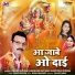 Daras Shyam, Ashwani Shyam, Santoshi Diwan