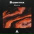 Biomatrix