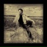 Aarian