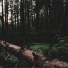 faikoskaa