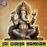 Ketan Patwardhan