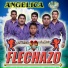 Grupo Flechazo