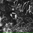 Paultar