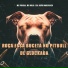MC Pogba, Mc Mila, DJ João Marconex
