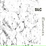 Ebashu v kashu