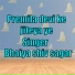 Bhaiya Shiv Sagar