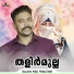 Naseer Tly