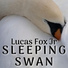 Lucas Fox Jr