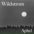 Wildstrøm