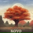 Nogymx, SENZO, KiRiKo