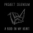Project Selenium