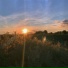 sunfade