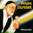 Dengbej Zülfeqar