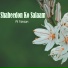 Al Faraan