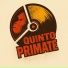 Quinto Primate