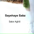 Salar Aghili