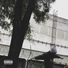 MITCH13
