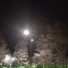 Duntik, Rojik