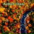 NetteR Stanc