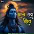 Piyush Shukla, Aavya Dubey