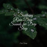 Natural Sounds, SleepTherapy, Rain Makers