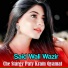 Said Wali Wazir