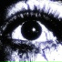 Willer