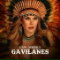 Pasion de Gavilanes