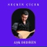 Seçkin Çiçek