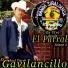 Saul Viera El Gavilancillo