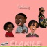 Flow2cozzy