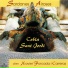 Cobla Sant Jordi
