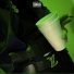 YoungBlezz 1333, DJ Wkilla