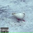 Shooter feat specific-mentality