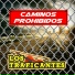 Los Traficantes