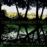 Carlos Bernardo, Joe Quitzke, Simon Tailleu