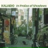 Kalaido
