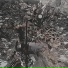 DEATHEND CRUEL