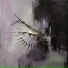 Delovered, ВЛАЖНОСТЬ